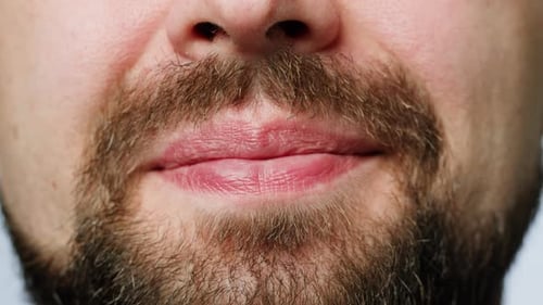Smiling Man Portrait Close Up Head Shot Portrait of Middle Aged Bearded Male with Healthy White