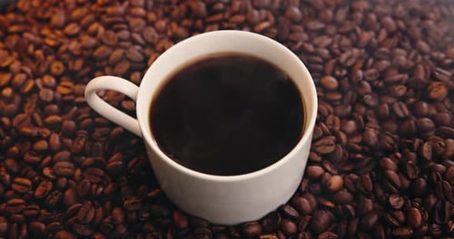 Coffee beans, steam and cup of fresh brew, morning caffeine fix or espresso to reduce fatigue