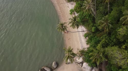 Aerial View of a Tropical Beach Paradise