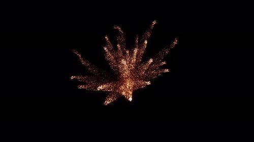 Quick Golden Particle Burst Reveal Transition