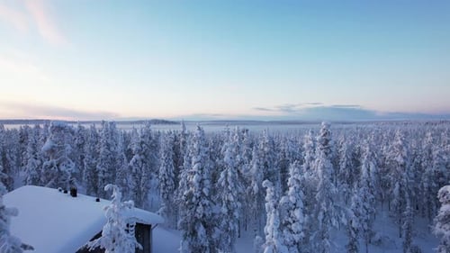 Drone Slowly Descends In Snowy Winter Wonderland Forest Maze In Lapland, Finland, Arctic Circle