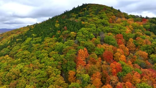 Beautiful diverse forest cover the high mountain. Foliage change colors in autumn.