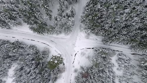 Aerial View of Snow Covered Forest Crossroads in Winter