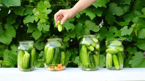 A woman's hand puts cucumbers in a jar for preserving vegetables in a marinade.