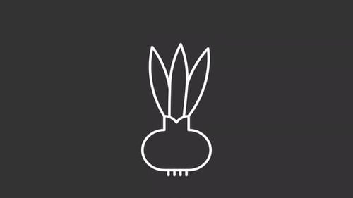 Animated flower bulb white line icon