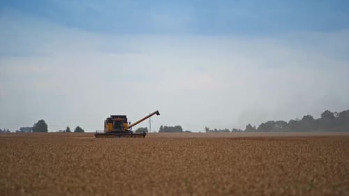 Machine for picking crops standing in the vast yellow field.