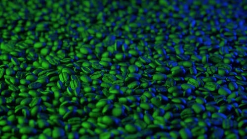Stirring raw coffee beans