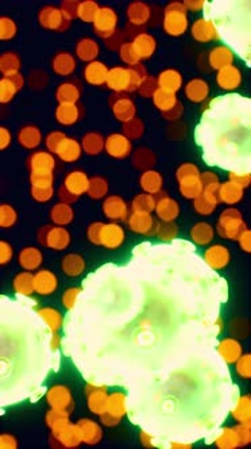 Viruses Under the Microscopic View for Education