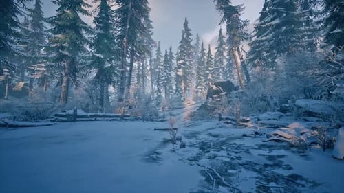 Winter Snow Forest