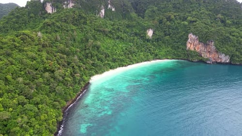 Breathtaking Aerial View of a Tropical Beach Surrounded by Lush Greenery