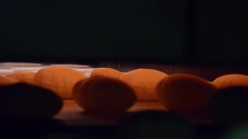 Punch of hot bread come out of industrial oven inside bread factory