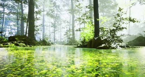 Lush Forest and Water Reflect Vibrant Greenery in Morning Light