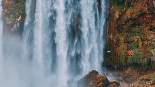 Birds Flies in Front of a Stormy Waterfall on a Red Rock