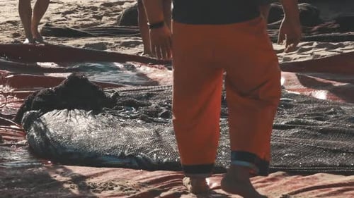 Frisch gefangener Fisch zuckt in einem Fischernetz am Meer