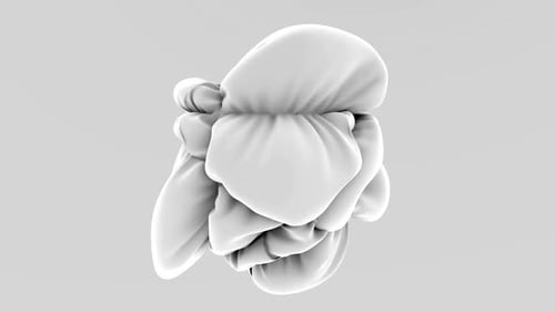 Fluid White Fabric Object Morphing Animation