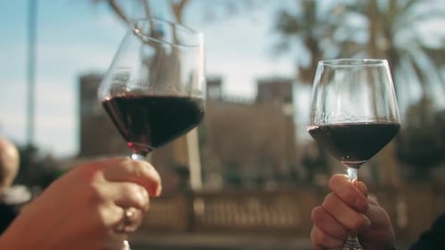 Young Men Having Fun Togethercelebrating and Cheers Drinking Red Wine and Clinking Glasses
