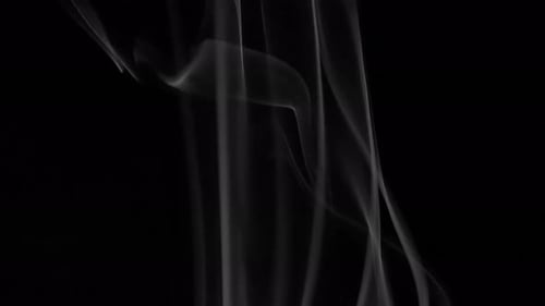 Rauch