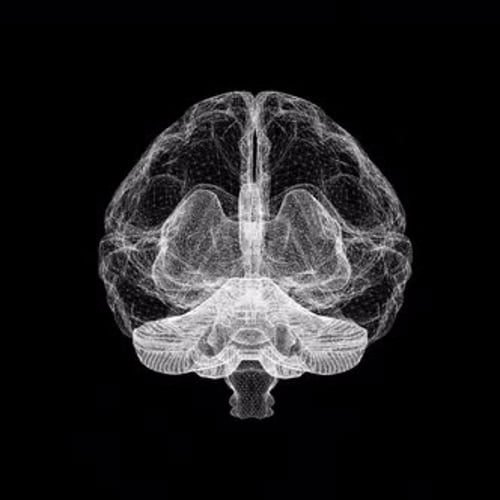 Intricate wireframe of human brain for medical research or futuristic technology concepts