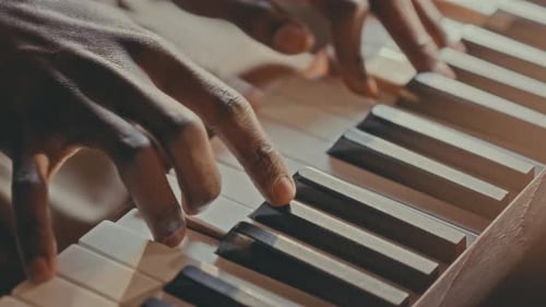 Close-Up of Hands of Musician Playing Piano Keys Bathed in Warm Sunlight