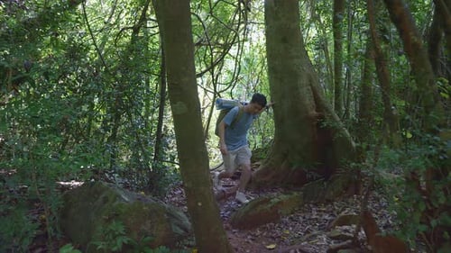 Asian Hiker Male With A Backpack Hiking In The Forest