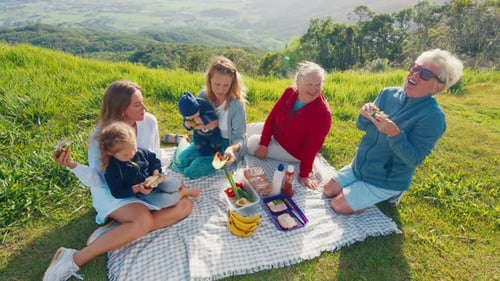 Family Picnic on the Hill