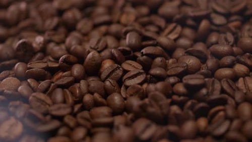 Coffee Beans Close Up Macro View