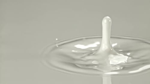 Super Slow Motion Milk Splashes Filmed on a Highspeed Camera at 1000 Fps