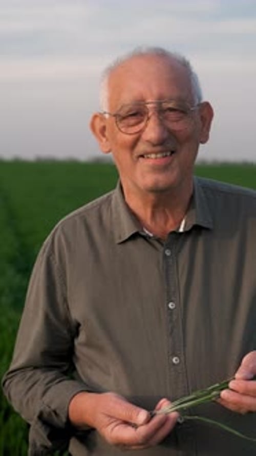 Portrait of senior farmer standing in wheat field looking at camera.