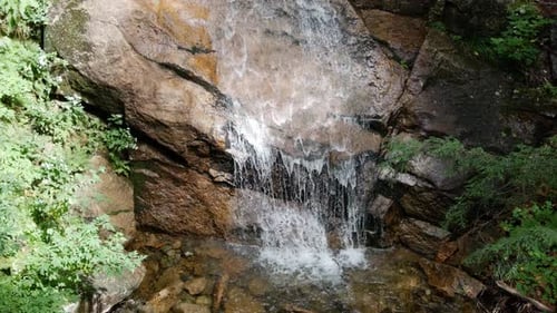 Klares Wasser fließt Felsen hinunter und erzeugt einen kleinen Wasserfall inmitten eines Waldes, wenn die Kamera geneigt wird.