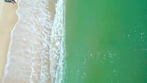 Aerial View of Sandy Beach and Turquoise Ocean Top View of Ocean Waves Reaching Shore on Sunny Day