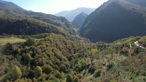 Aerial Mountains and Green Forest