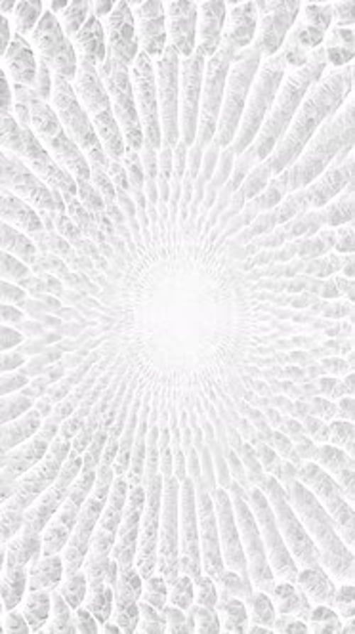 textura de fundo de paralaxe abstrata de pele de cobra branca Vídeo vertical