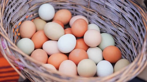 Rustic Basket Filled with Multi-Colored Fresh Eggs