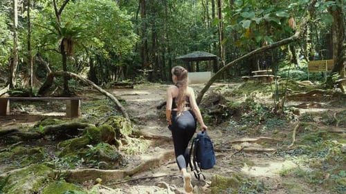 Woman with Backpack Hiking on Forest Trail Adventure and Travel