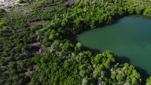 Une vue panoramique sur la beauté naturelle de Bahia Concepcion, Baja California Sur, Mexique - Drone aérien