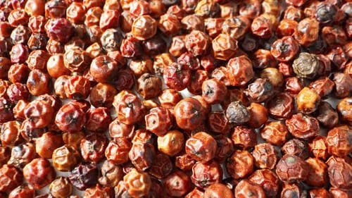 Close-up of Pile of Red Juniper Berries