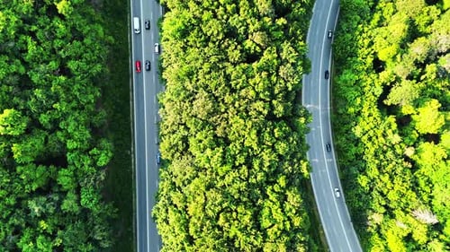 Luftaufnahme einer kurvenreichen Straße durch dichten grünen Wald.