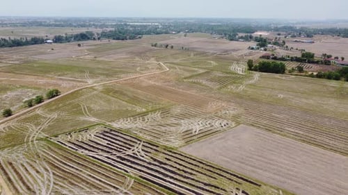 Paddy field just harvested and burn