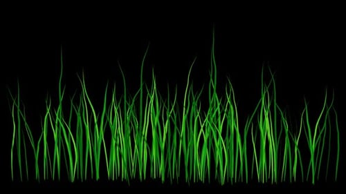 Grass Glade Growing Alpha Channel