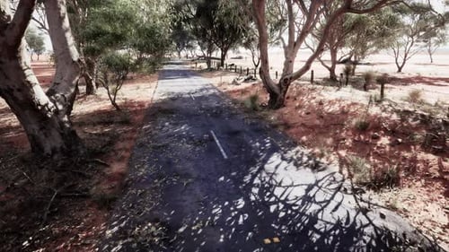 A Scenic Dirt Road with a Beautiful Treelined Landscape