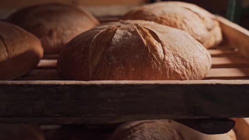 Freshly baked fragrant bread with a ruddy appetizing crust and an interesting pattern. Natural bread