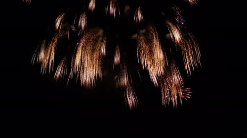 Vibrant Fireworks Exploding in the Night Sky