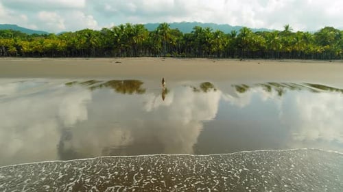 Lone woman walking across reflective wet sand toward a palm lined tropical beach