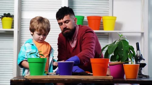 Father Ans Child Son Planting Sprout in a Plant Pot