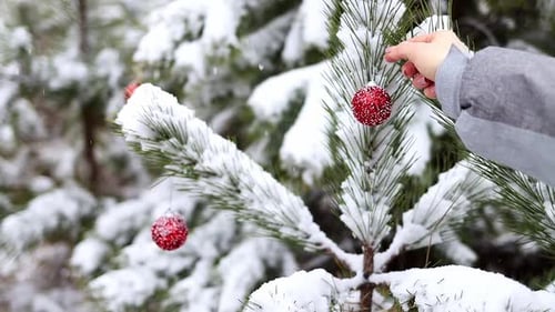 Weihnachtsbaum Die Atmosphäre von Weihnachten und Neujahr.