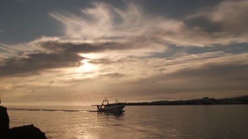 Barco Fisher