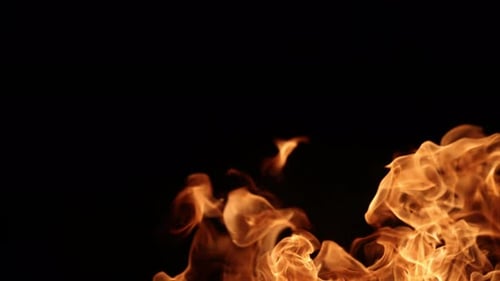 Burning Fire Flames on Black Background