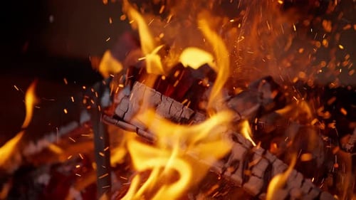 Burning Wood and Fiery Embers in Close-up Detail