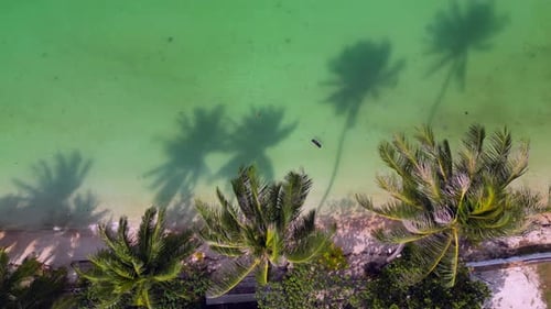 Tropical beach.