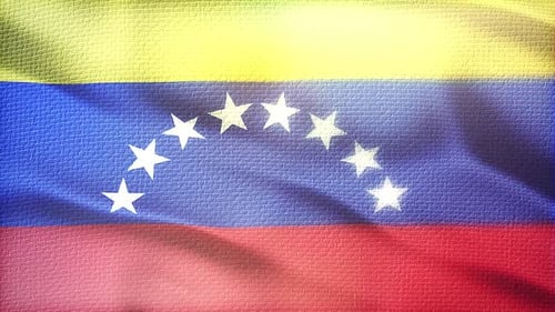 Realistic Waving Venezuelan Flag Loop